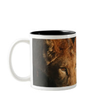 Close up of Lioness (Panthera leo) and cub Mugs