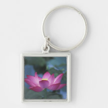 Close-up of red lotus flower and green leaves, key chain