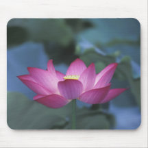 Close-up of red lotus flower and green leaves, mouse pad