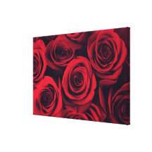 Close up of red rose flowers. gallery wrapped canvas