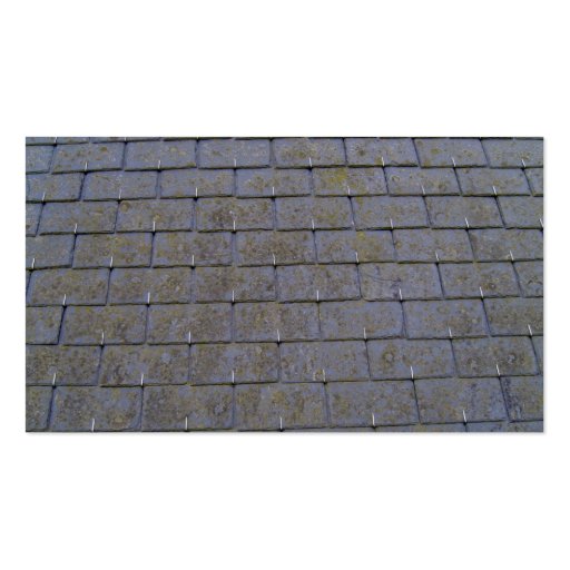 Close-Up Of Roof Tiles With Lichens Business Cards (back side)