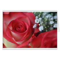 Close up of rose and baby's breath cards