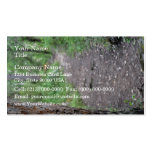 Close up of tree bark in forest business cards