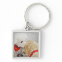 Close-up of two dogs key chain