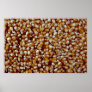 Close-up of unpopped popcorn kernels texture posters