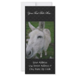 Close Up Of White Mule Custom Rack Cards