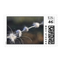 Close-up on barbed wire with some pieces of white postage stamp
