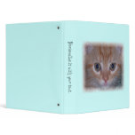Close Up Photo of a Cute Kitten binders