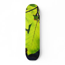 Close Up Photo Of Beech Leaves skateboards by lifesphere Close Up Photo Of Beech Leaves skateboards