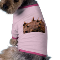 Close Up Photo Of Conker Thorns pet clothing by lifesphere Close Up Photo Of Conker Thorns pet clothing