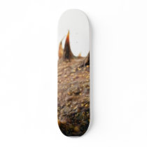 Close Up Photo Of Conker Thorns skateboards