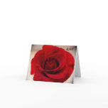 Close Up Red Rose RSVP cards