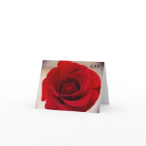 Close Up Red Rose RSVP cards