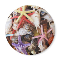 Close Up Sea Shell ans Starfish Photos Refrigerator Magnet