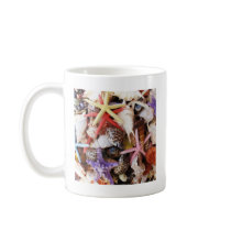 Close Up Sea Shell ans Starfish Photos Coffee Mugs