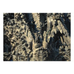 Close-up, section of Gaudi Cathedral, Barcelona, S Announcements