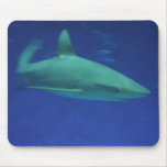 Close Up Shot of a Shark at Eye-Level mousepads
