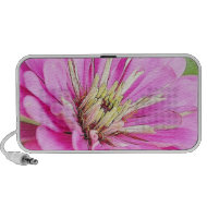 Close-up view of a delicate pink zinnia doodle