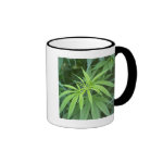 Close-Up View Of Marijuana Plant, Malkerns Coffee Coffee Mugs Close-Up View Of Marijuana Plant, Malkerns Coffee Coffee Mugs