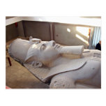 Close up view of Ramses Post Card