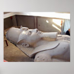 Close up view of Ramses Print