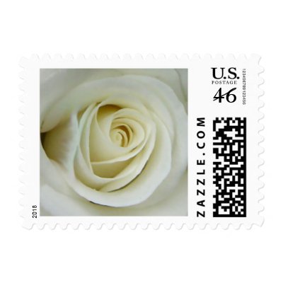 Close-Up White Rose Postage