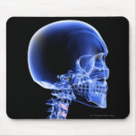 Close up x-ray of the bones in the neck mouse pads