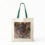 Close Ups bags