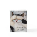 closed eye kitty, i am so so so sorry... cards