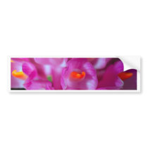 closed up  of Orchid Flower bumper stickers