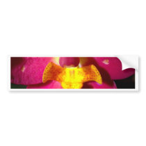 closed up  of Orchid Flower bumper stickers