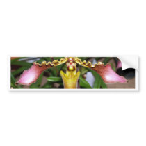 closed up  of Orchid Flower bumper stickers