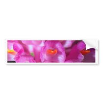 closed up  of Orchid Flower bumper stickers