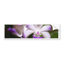 closed up  of Orchid Flower bumper stickers