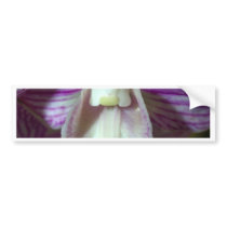 closed up  of Orchid Flower bumper stickers