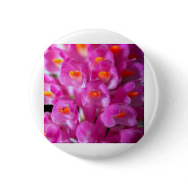 closed up of Orchid Flower buttons by naturelife closed up of Orchid Flower buttons