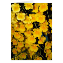 closed up  of Orchid Flower cards
