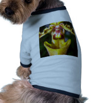 closed up  of Orchid Flower pet clothing
