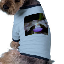 closed up  of Orchid Flower pet clothing