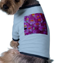closed up  of Orchid Flower pet clothing