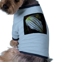 closed up  of Orchid Flower pet clothing
