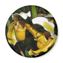 closed up of Orchid Flower magnets by naturelife closed up of Orchid Flower magnets