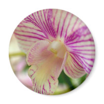 closed up of Orchid Flower magnets by naturelife closed up of Orchid Flower magnets