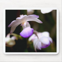 closed up  of Orchid Flower mousepads