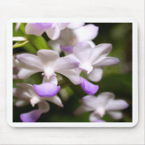 closed up  of Orchid Flower mousepads