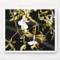 closed up  of Orchid Flower mousepads