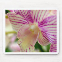 closed up  of Orchid Flower mousepads