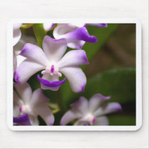 closed up  of Orchid Flower mousepads