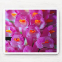 closed up  of Orchid Flower mousepads