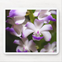 closed up  of Orchid Flower mousepads